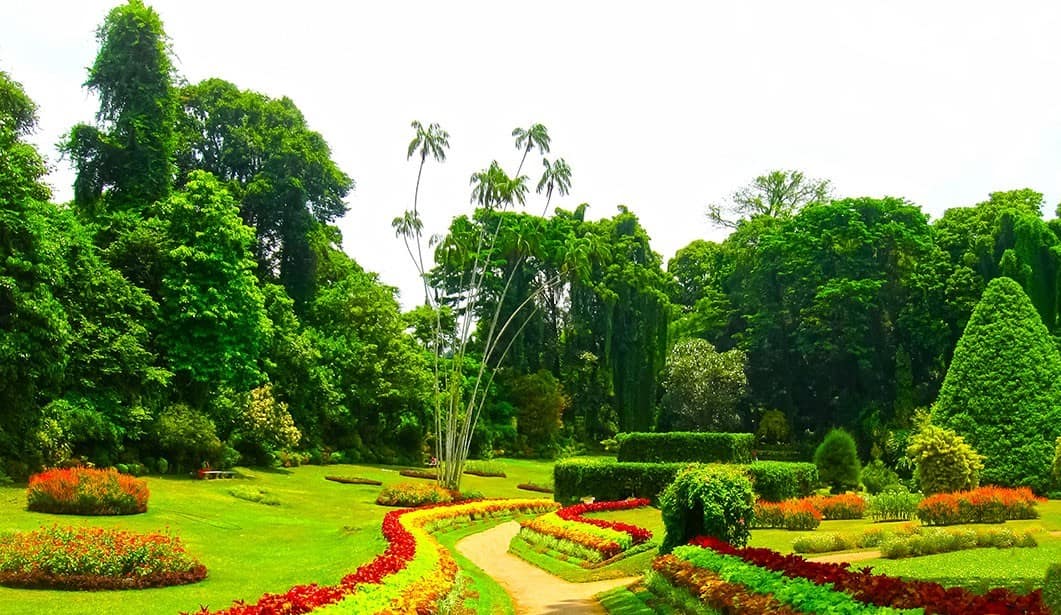 Real Jardín Botánico (Sídney)